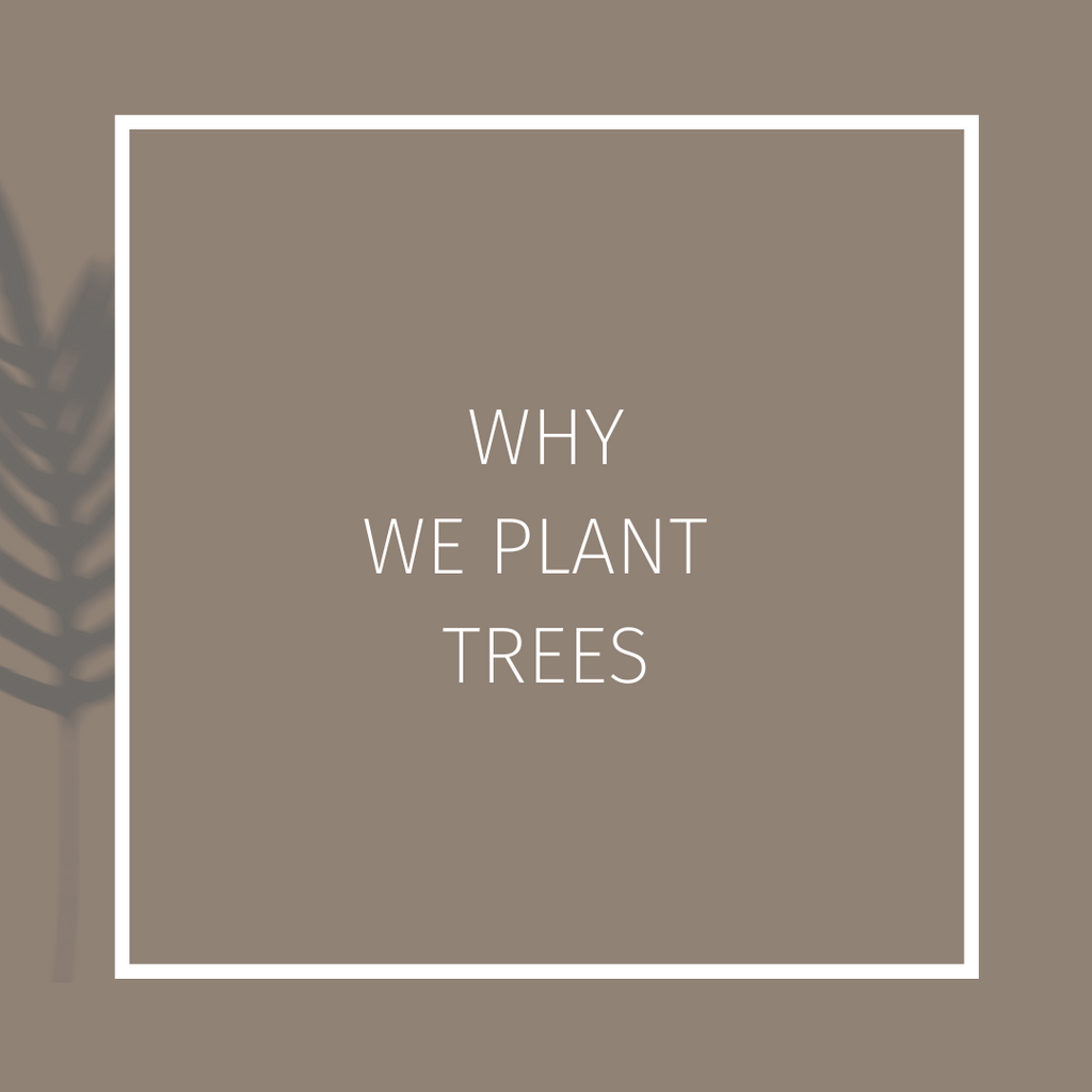 Why we plant trees